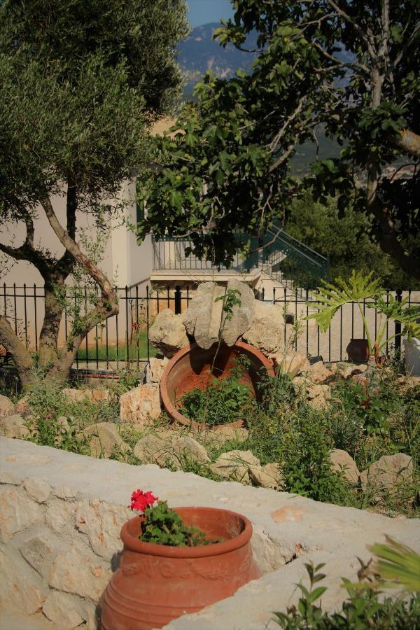Nikoleta'S Studios Argostoli  Luaran gambar