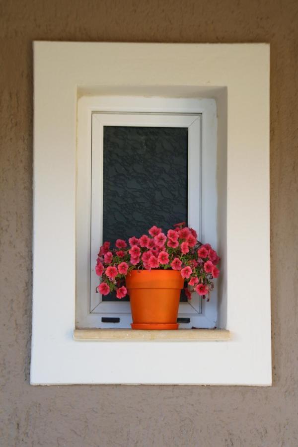 Nikoleta'S Studios Argostoli  Luaran gambar